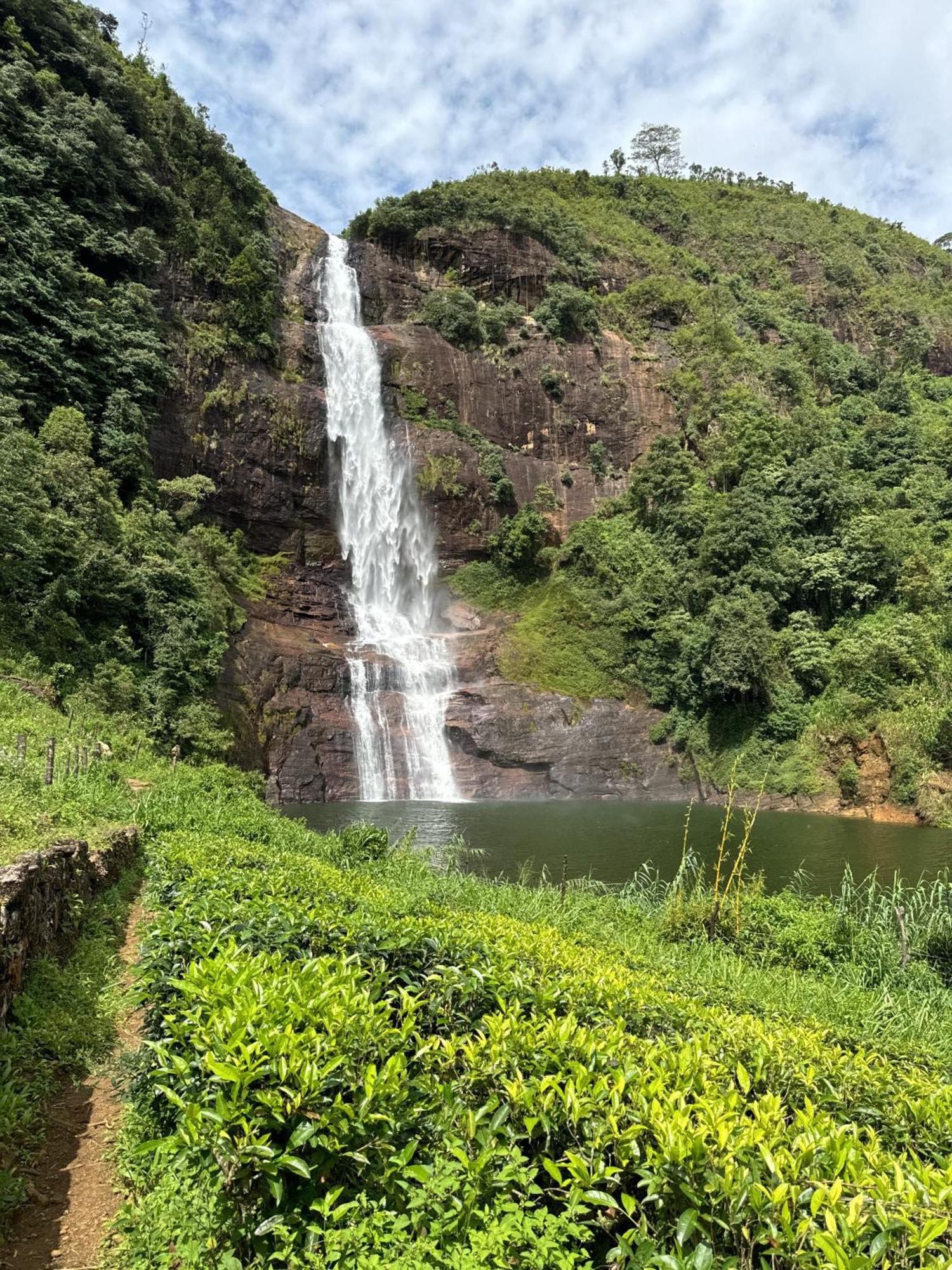 Pekoe Lodge Maskeliya المظهر الخارجي الصورة