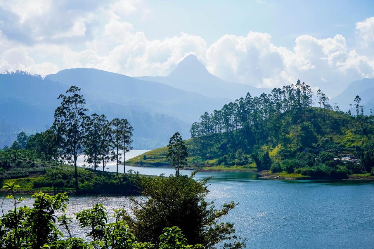 Pekoe Lodge Maskeliya المظهر الخارجي الصورة